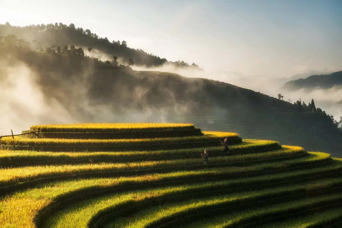 Unlocking Hidden Travel Deals with Your Credit Card Points